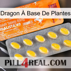 Dragon À Base De Plantes new05